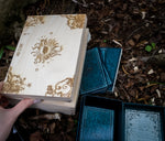 Load image into Gallery viewer, Handmade wooden trinket box etched with all seeing eye, moon phase, celestial design in woodland alongside tarot cards.
