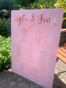 Blush pink seating plan with gold names & location themed table names